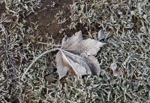 Bajas temperaturas se registrarán en la región de Los Lagos durante el fin de semana