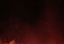 Un galpón destruído y varios vacunos muertos dejó incendio en #PuertoMontt