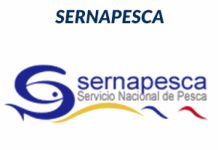 Sernapesca llama a revisar registro pesquero artesanal para evitar caducación #PuertoMontt