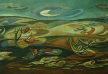 Panoramas región de Los Lagos desde el 9 al 15 de junio