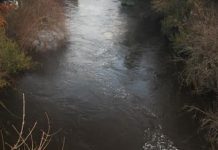 Red Ambiental Ciudadana acusa poca fiscalización a ríos Damas y Rahue en #Osorno