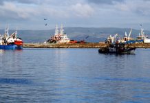 Mitilicultores conocen detalles de normativa que regulará concesiones marítimas en bordes costeros