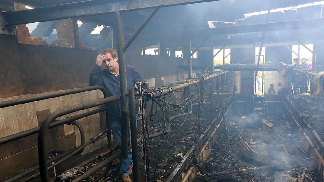 1450726237-auno610673