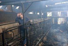 Región de La Araucaria la de mayor nivel de violencia en el sur del país según último Barómetro