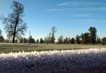 Continúa Alerta Temprana Preventiva por bajas temperaturas en la zona