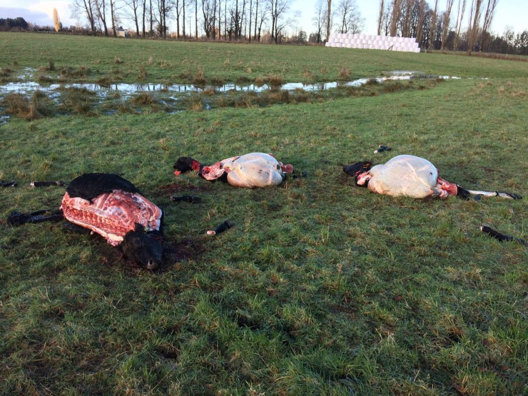 233d0b67-5879-49ae-841d-313a7f9601c6