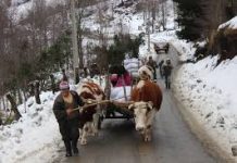 140 familias aisladas y afectadas por las nevazones en Cochamó