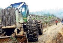 Columna Opinión: La vergonzosa apología a la Reforma Agraria