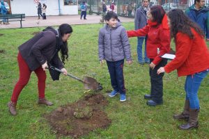 #Osorno conmemoró día mundial del árbol plantando especies nativas en Hospital Base