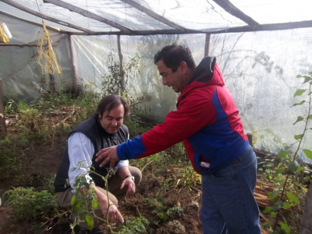 Foto-Archivo-Emprendimiento-1