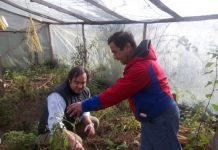 Ex Seremi de Agricultura asume Gerencia de Agrollanquihue y comenta nuevos desafíos