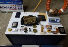 Aduana y Armada incautan droga y hongos alucinógenos en barcaza en Aysén