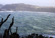 Cuatro casas afectadas dejó el paso del sistema frontal en la isla de Chiloé