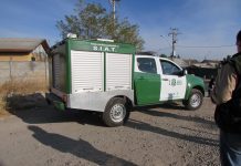 Fatal atropello en la ruta cinco frente a Río Negro