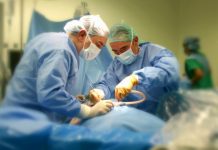 Equipo de Procura y Trasplante de Osorno confirma éxito en cuarta donación de órganos