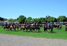 Jura de Caballos en SAGOFISUR 2017 incluirá remate