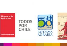 Columna Opinión: Un Gobierno preocupado de reescribir la historia
