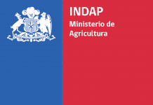 Trabajadores de Prodesal sostuvieron encuentro con Comisión de Agricultura del Senado