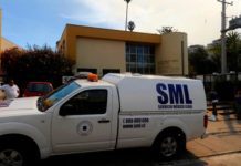 Muere niño de 7 años luego que le cayera una rama de árbol que talaba su abuelo en Frutilla.