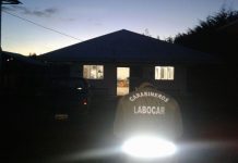 Carabineros detuvo a tres antisociales que robaron oficinas en fundo de Río Bueno