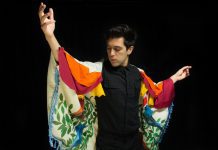 Conoce aquí los Panoramas de la Región de Los Lagos