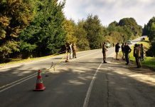 PDI identificó a hombre que falleció por impacto de bala tras asalto en Puerto Octay