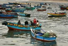 Dirigenta de los pescadores artesanales rechazó solicitud de borde costero por ley Lafkenche
