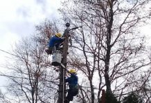 Sistema frontal dejó sin servicio eléctrico varios sectores de Provincia de Osorno