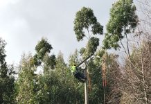 Último reporte Saesa provincia Osorno: 273 usuarios sin electricidad