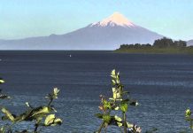 Superintendencia Servicios Sanitarios presentará cargos por contaminación en lago Llanquihue