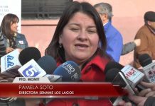 Pamela Soto renunció a la dirección regional del Sename Los Lagos