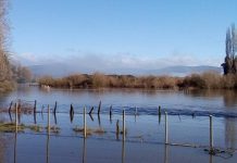 Se declara Alerta Amarilla para las comunas de San Pablo, Río Negro y Osorno por crecida de ríos