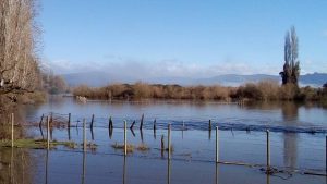 Se declara Alerta Amarilla para las comunas de San Pablo, Río Negro y Osorno por crecida de ríos