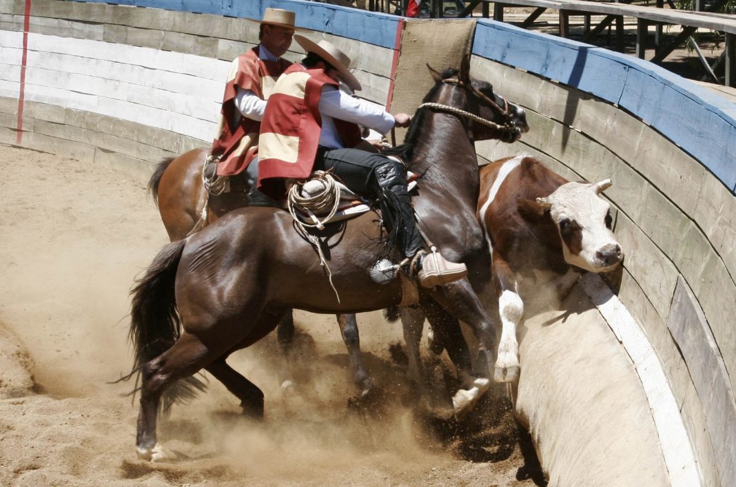 rodeo-chileno-4