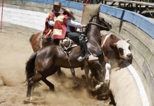 Con Rodeo Provincial de Fiestas Patrias comienza la temporada en Osorno los días 18 y 19 en el Recinto SAGO