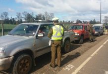 Intensifican control en carretera para detección de abigeatos y venta clandestina de productos