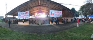 Público elogia y aplaude segundo día de Fiesta de la Chilenidad en recinto SAGO