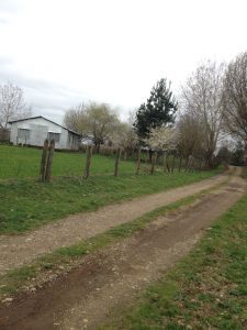 Vecino denuncia mal estado de un camino en Río Negro, mientras que aludidos desmienten la acusación.