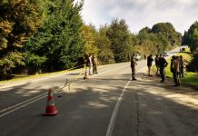 Core criticó centralismo en materia de seguridad para habitantes del sur país