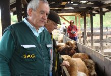 SAG depone paro y critica reacción del Gobierno que presentó propuesta tras anuncio de movilización