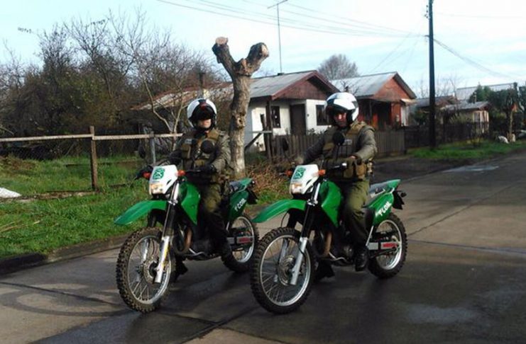 Carabineros detuvo a tres personas por abigeato en San Pablo