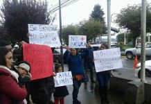 Puerto Montt: Corte de Apelaciones falla a favor de vecinos por microbasurales