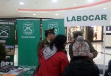Puerto Montt: Buscan educar a la población para evitar dramas con billetes falsos