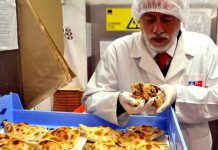 Seis sumarios sanitarios han realizado en región de Los Lagos tras inicio de fiestas patrias