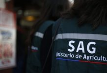 Director regional SAG por paro: »Son decisiones relacionadas a recursos que no tenemos en la región»
