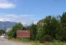 Puerto Varas: Trabajador agrícola de Ensenada es confirmado como 18° caso de hantavirus en 2017