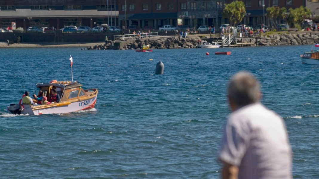 1425073050_llanquihue000mvd6658198