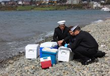 Puerto Varas: estudian impacto de contaminación fecal en Lago Llanquihue