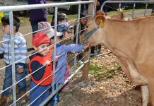 Recinto registra 100% de ocupación a más de un mes del inicio de SAGOFISUR
