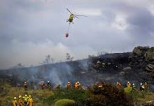 Con brigadas nocturnas y dos helicópteros, Conaf enfrentará incendios forestales en la región